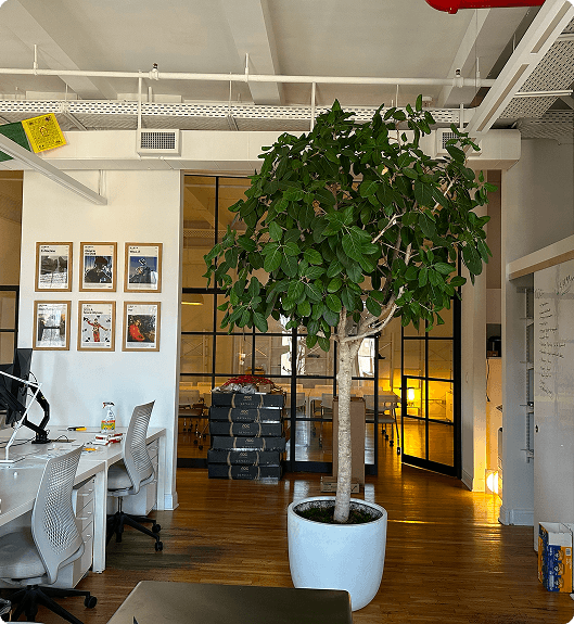 Office 2